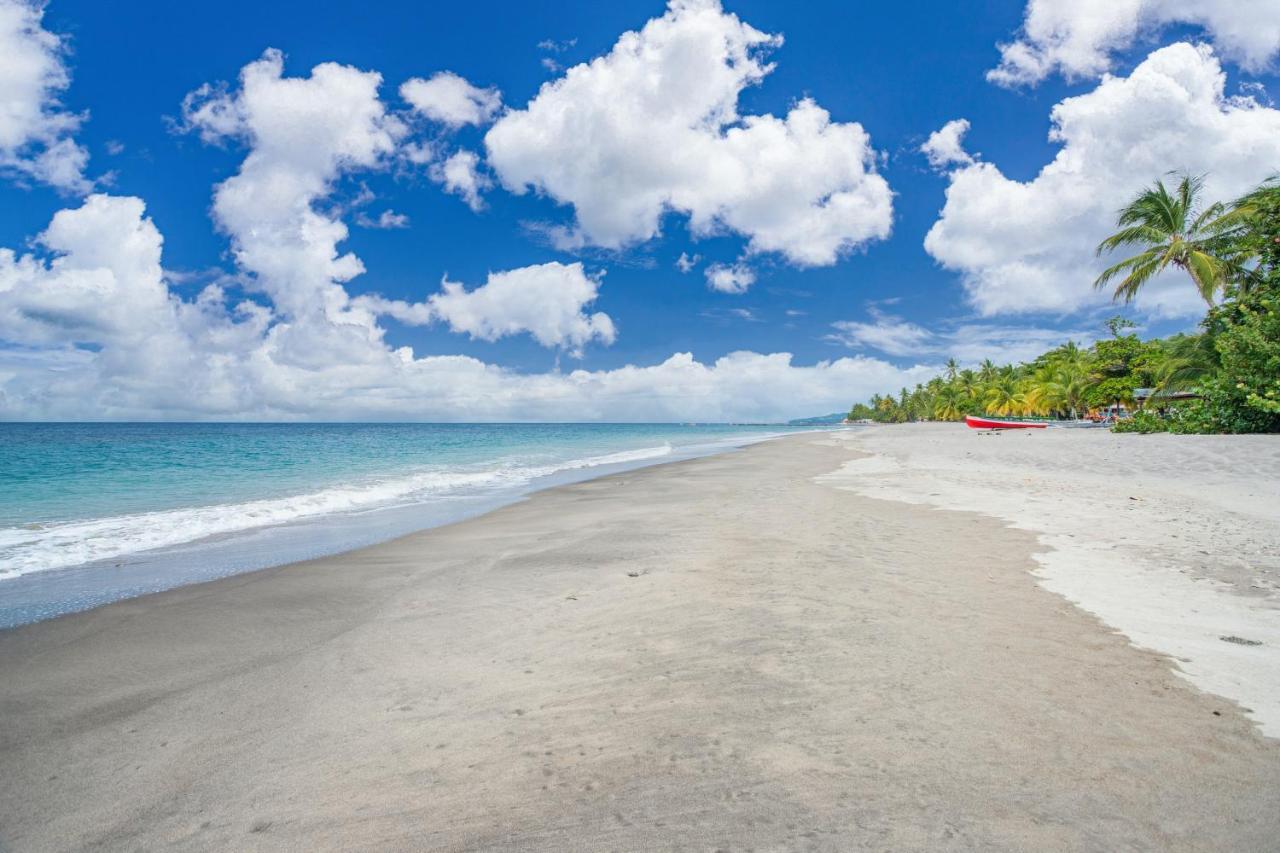 Appartement Charmant Au Carbet Avec Vue Sur La Mer 50 M² Le Carbet Luaran gambar